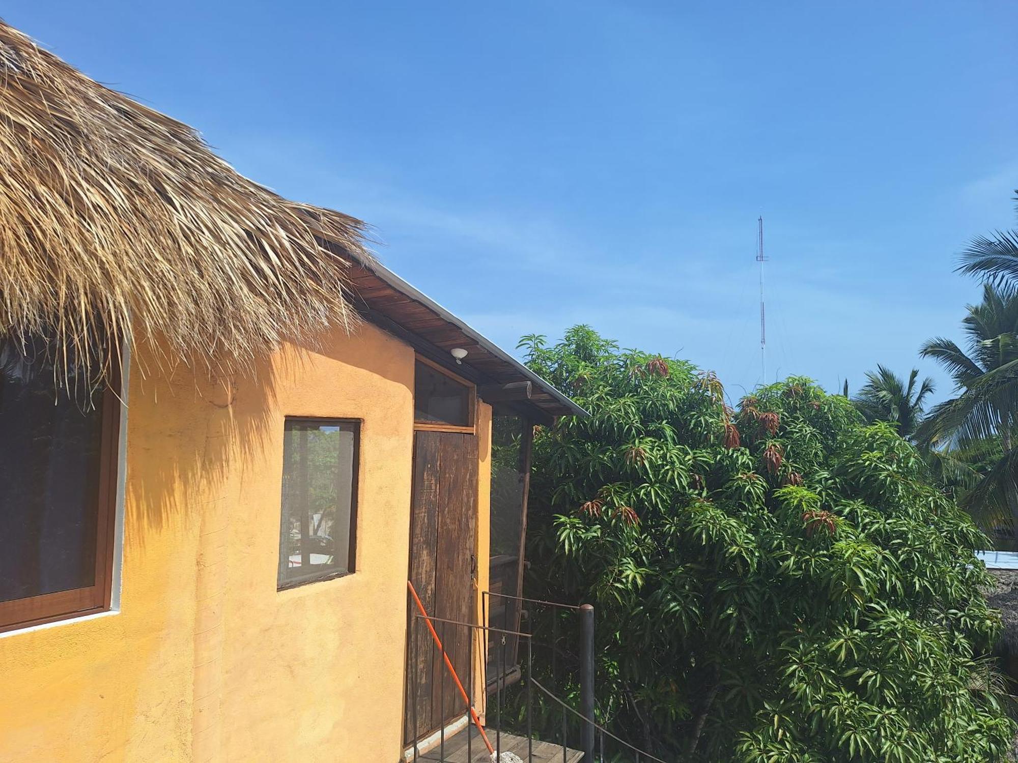 Tower Bridge Hostel Puerto Escondido  Εξωτερικό φωτογραφία